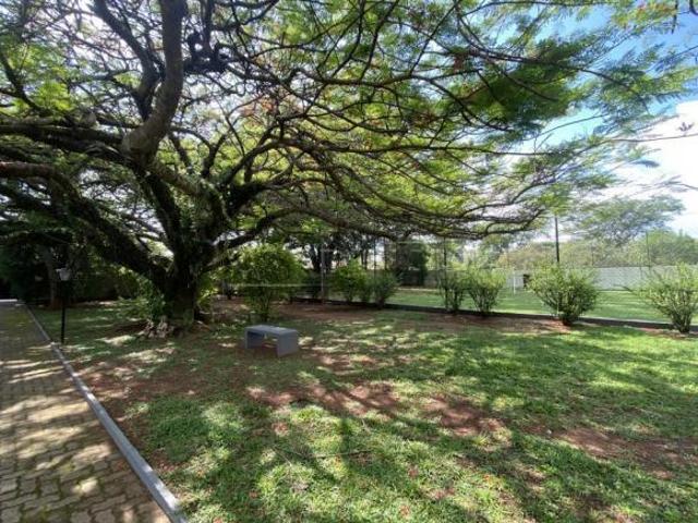 Sítio e chácara venda em Água Vermelha, São Carlos