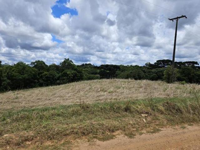Sítio e chácara venda em Ferraria, Campo Largo