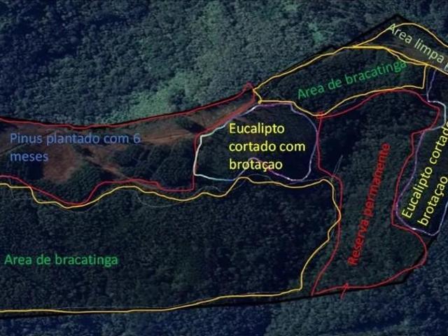 Sítio e chácara venda em Região Geográfica Imediata de Curitiba, Região Metropolitana de Curitiba