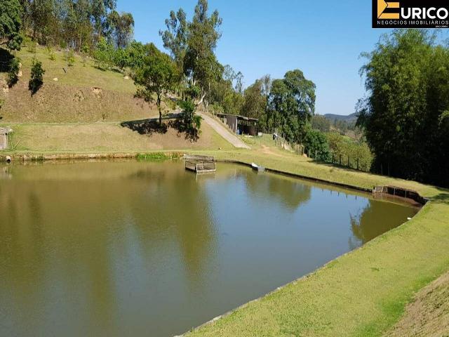 Sítio e chácara venda em Amparo, Região Geográfica Intermediária de Campinas