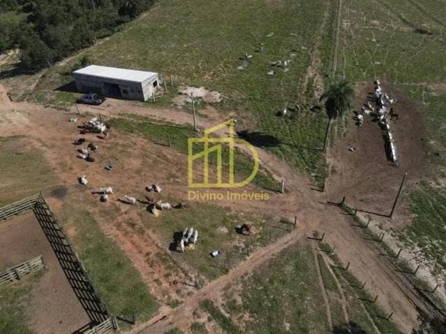 Sítio e chácara venda em Região Imediata de Rio Claro, Região Metropolitana de Piracicaba