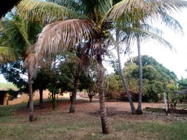 Sítio e chácara venda em Região Imediata de São Carlos, Ribeirão Bonito