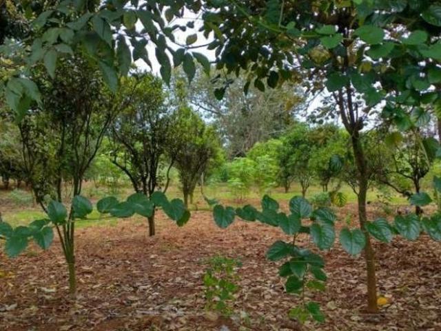 Sítio e chácara venda em Região Geográfica Imediata de Abaeté, Cedro do Abaeté