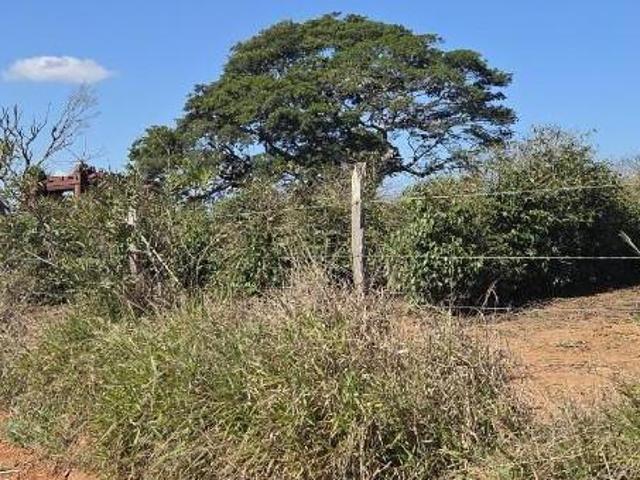 Sítio e chácara venda em Centro, Alfenas