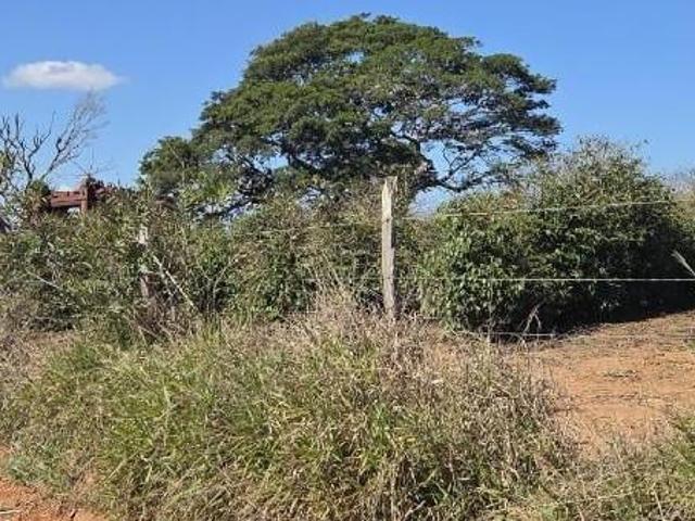 Sítio e chácara venda em Centro, Alfenas