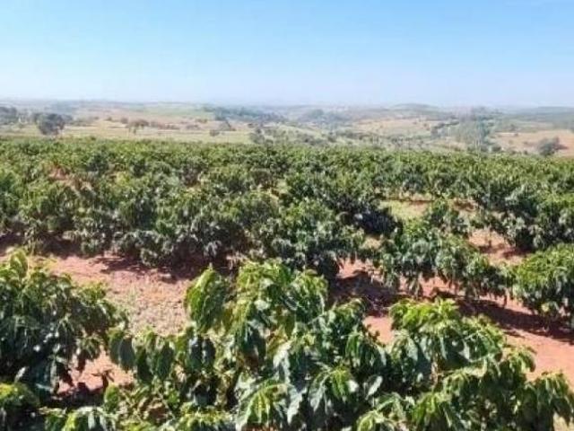 Sítio e chácara venda em Centro, Alfenas