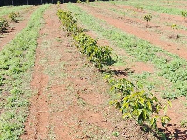 Sítio e chácara venda em Centro, Alfenas