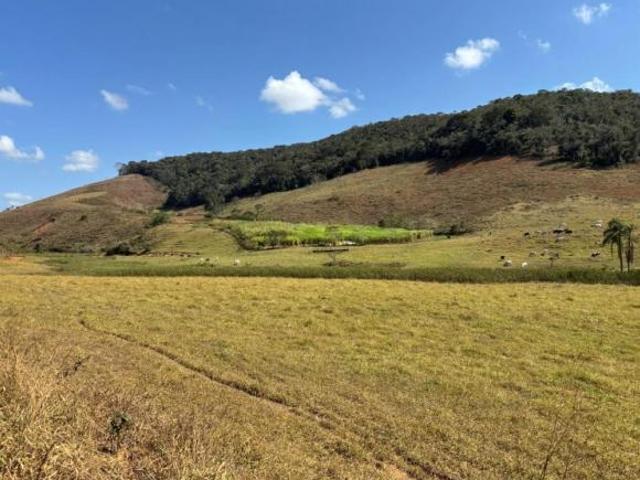 Sítio e chácara venda em Região Geográfica Imediata de Ponte Nova, Alvinópolis