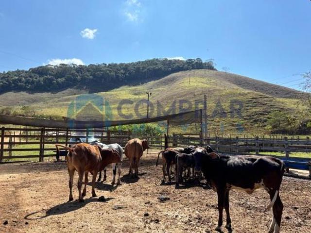Sítio e chácara venda em Alvinópolis, Região Geográfica Intermediária de Juiz de Fora