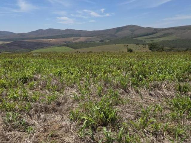 Sítio e chácara venda em Região Geográfica Imediata de Juiz de Fora, Andrelândia