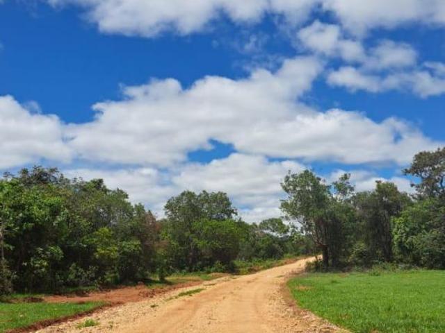 Sítio e chácara venda em Região Geográfica Imediata de Januária, Januária