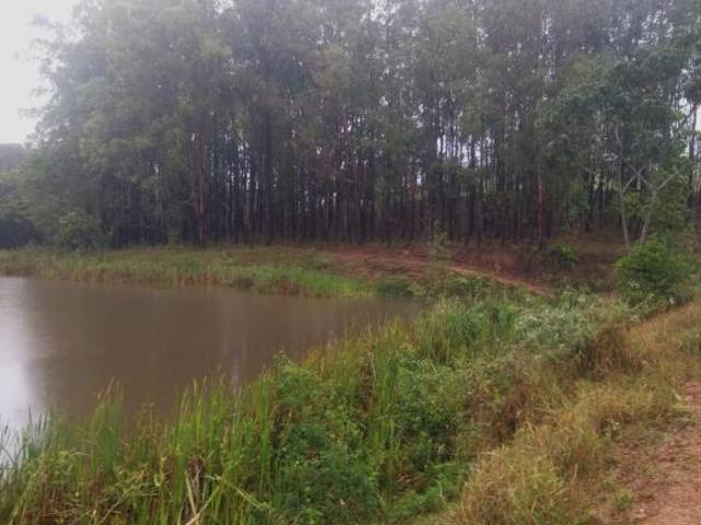 Sítio e chácara venda em Região Geográfica Imediata de Formiga, Arcos