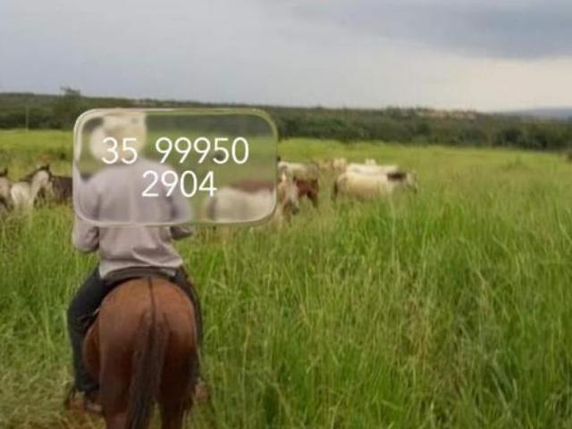 Sítio e chácara venda em Região Geográfica Imediata de Curvelo, Augusto de Lima