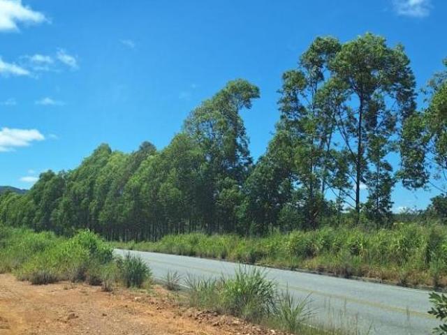 Sítio e chácara venda em Baldim, Região Geográfica Intermediária de Belo Horizonte
