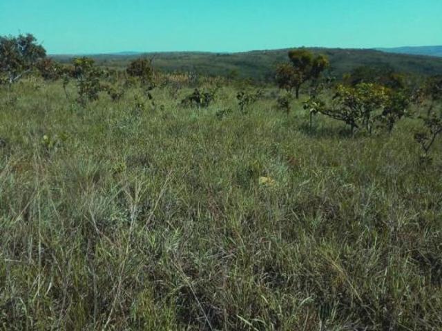 Sítio e chácara venda em Biquinhas, Região Geográfica Intermediária de Divinópolis