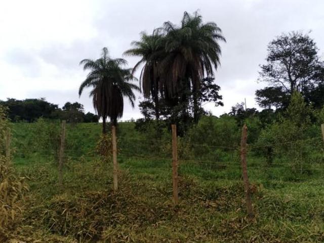 Sítio e chácara venda em Região Geográfica Imediata de Itabira, Bom Jesus do Amparo