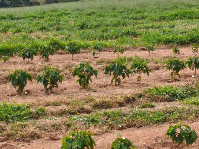 Sítio e chácara venda em Bom Sucesso, Região Geográfica Intermediária de Varginha