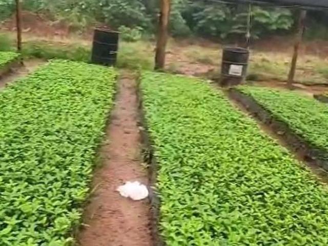 Sítio e chácara venda em Região Geográfica Imediata de Lavras, Bom Sucesso