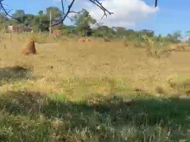 Sítio e chácara venda em Região Geográfica Imediata de Oliveira, Bonfim