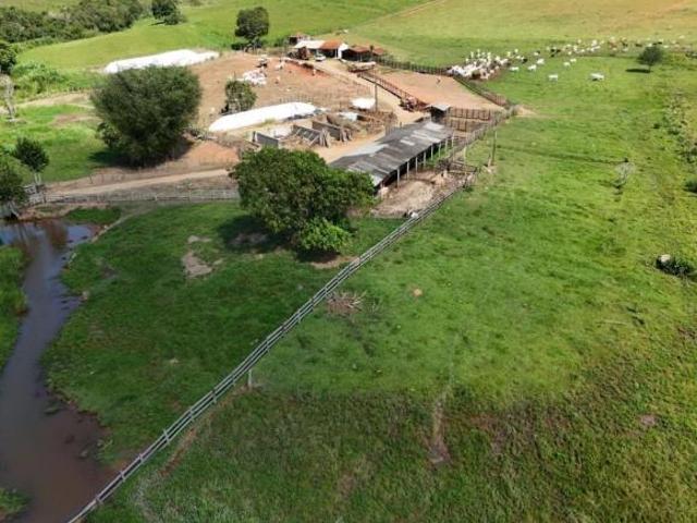 Sítio e chácara venda em Senador José Bento, Região Geográfica Intermediária de Pouso Alegre