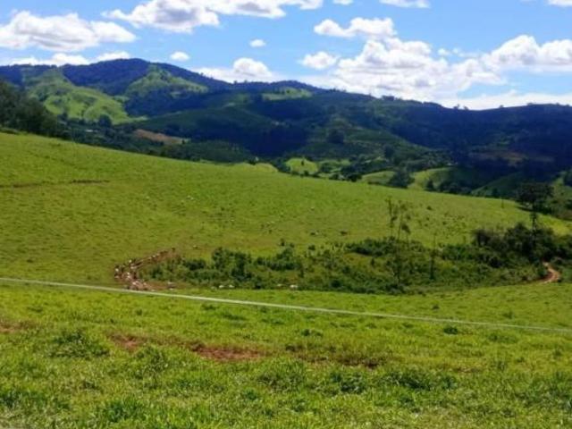 Sítio e chácara venda em Botelhos, Região Geográfica Intermediária de Pouso Alegre
