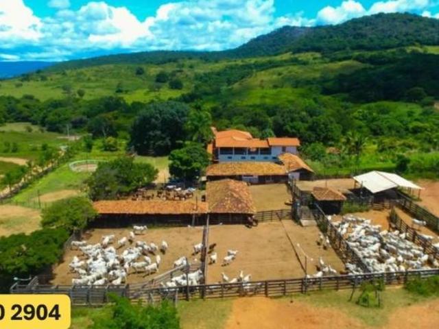 Sítio e chácara venda em Região Geográfica Imediata de Curvelo, Buenópolis