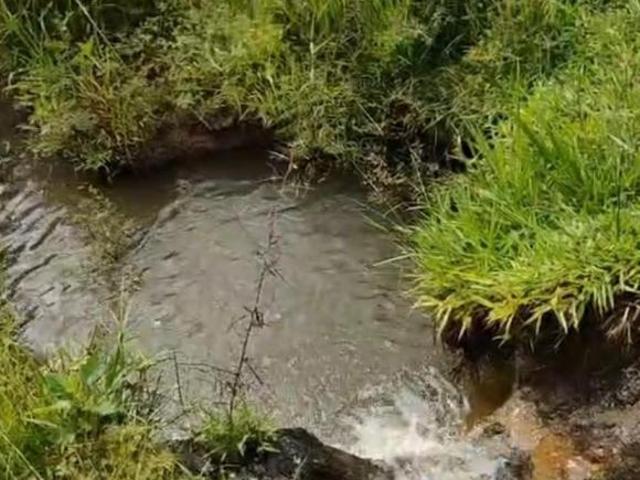 Sítio e chácara venda em Região Geográfica Imediata de Pouso Alegre, Cachoeira de Minas