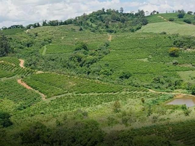 Sítio e chácara venda em Região Imediata de São José do Rio Pardo-Mococa, Caconde