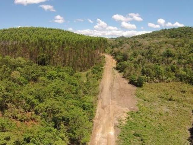 Sítio e chácara venda em Região Geográfica Imediata de Santa Bárbara - Ouro Preto, Barão de Cocais