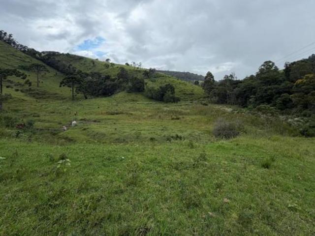 Sítio e chácara venda em Região Geográfica Imediata de Pouso Alegre, Camanducaia