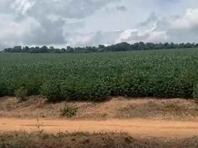 Sítio e chácara venda em Região Geográfica Imediata de Campo Belo, Campo Belo