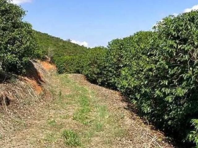 Sítio e chácara venda em Região Geográfica Imediata de São Lourenço, Carmo de Minas