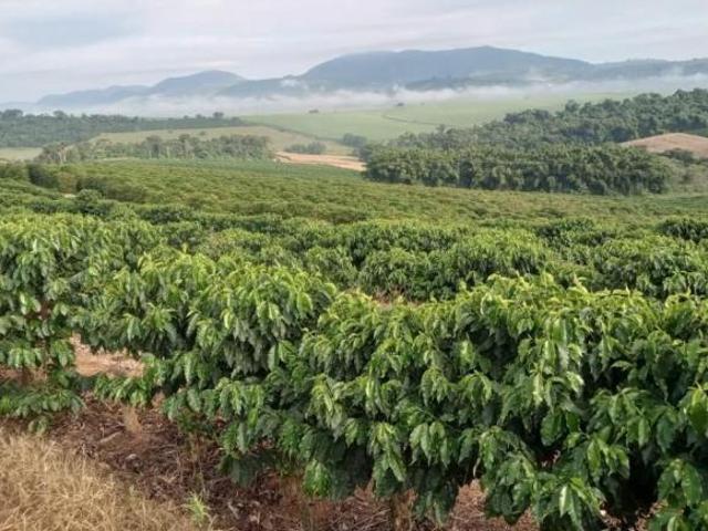 Sítio e chácara venda em Região Geográfica Imediata de São Lourenço, Carmo de Minas