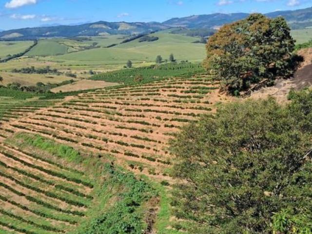 Sítio e chácara venda em Região Geográfica Imediata de São Lourenço, Carmo de Minas