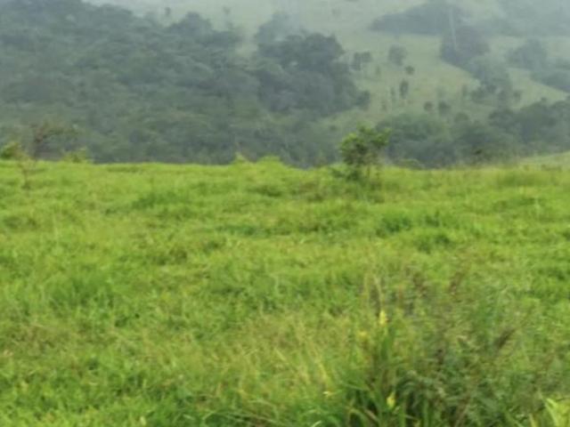 Sítio e chácara venda em Região Geográfica Imediata de Caxambu - Baependi, Caxambu