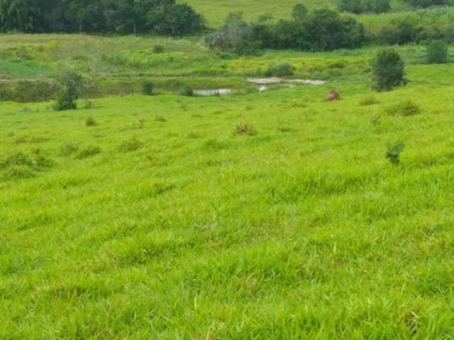 Sítio e chácara venda em Caxambu
