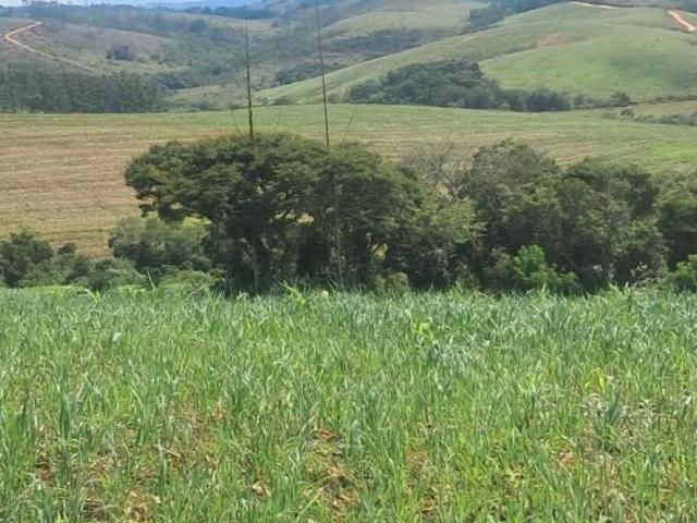 Sítio e chácara venda em Região Geográfica Imediata de Caxambu - Baependi, Caxambu