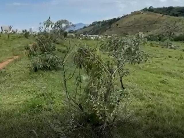 Sítio e chácara venda em Região Geográfica Imediata de São Lourenço, Conceição do Rio Verde