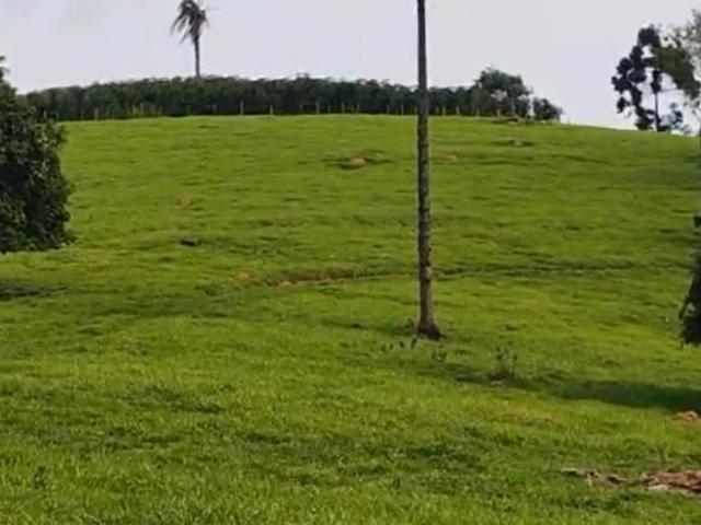 Sítio e chácara venda em Região Geográfica Imediata de São Lourenço, Conceição do Rio Verde