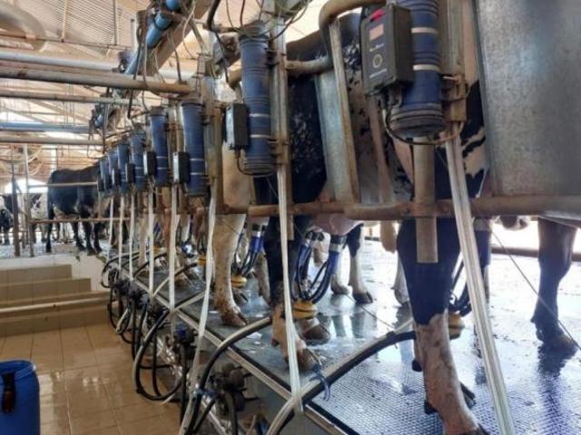 Sítio e chácara venda em Cordisburgo, Região Geográfica Intermediária de Belo Horizonte