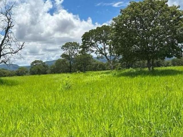 Sítio e chácara venda em Região Geográfica Imediata de Curvelo, Corinto