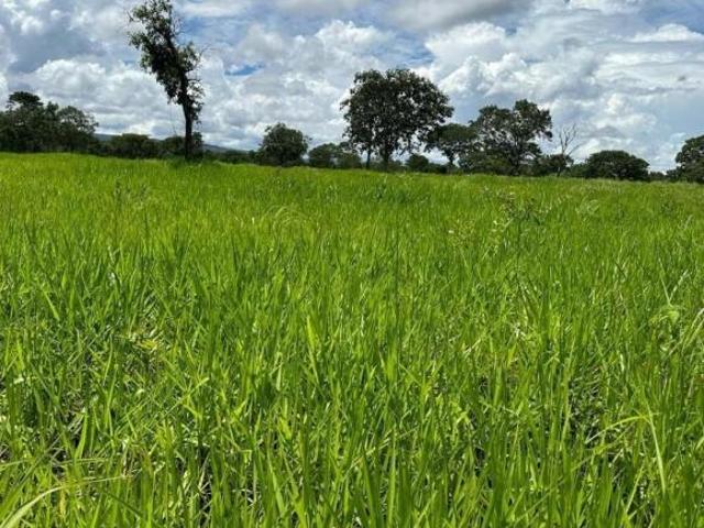 Sítio e chácara venda em Região Geográfica Imediata de Curvelo, Corinto