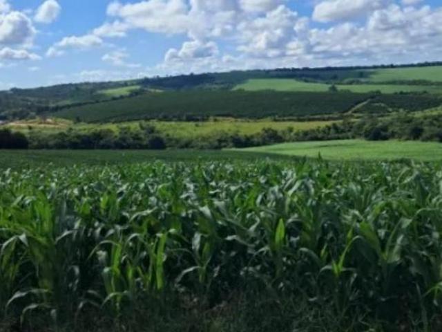 Sítio e chácara venda em Região Geográfica Imediata de Campo Belo, Cristais