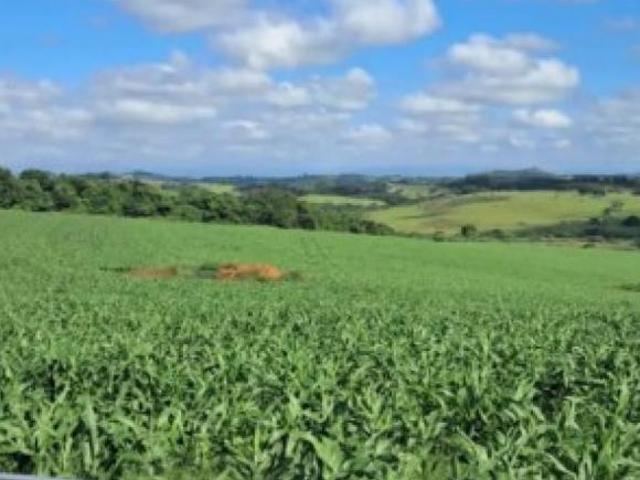 Sítio e chácara venda em Região Geográfica Imediata de Campo Belo, Cristais