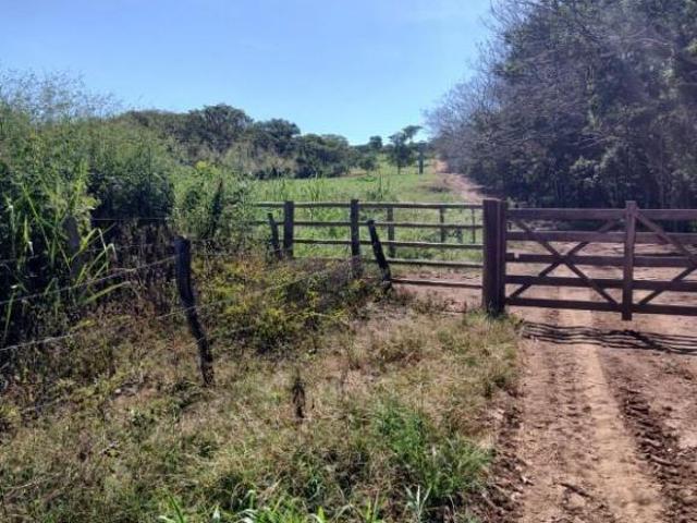 Sítio e chácara venda em Região Geográfica Imediata de Curvelo, Curvelo