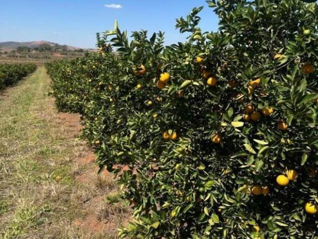 Sítio e chácara venda em Elói Mendes, Região Geográfica Intermediária de Varginha