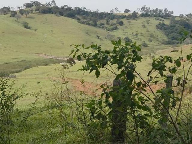 Sítio e chácara venda em Elói Mendes, Região Geográfica Intermediária de Varginha