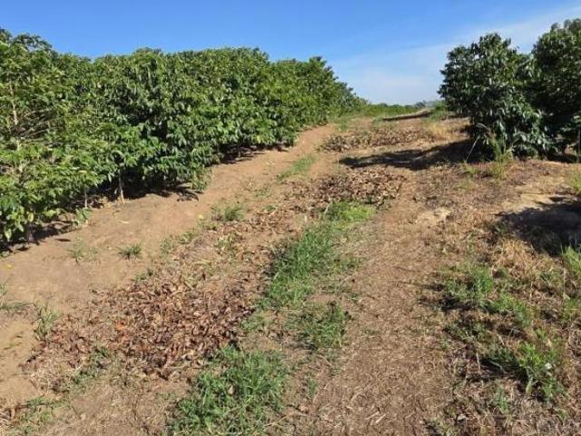 Sítio e chácara venda em Elói Mendes, Região Geográfica Intermediária de Varginha
