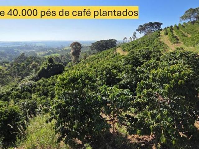 Sítio e chácara venda em Região Geográfica Imediata de Varginha, Elói Mendes