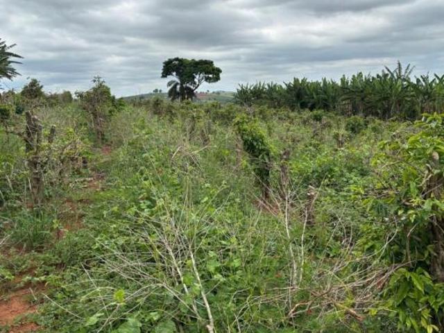 Sítio e chácara venda em Elói Mendes, Região Geográfica Intermediária de Varginha